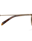 Sluneční brýle Carter Gold/Brown Havana
