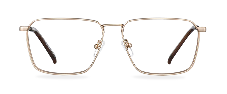 Čiré brýle Bruce Satin Gold/Americano