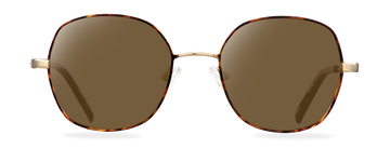 Sluneční brýle Hannah Gold Havana/Dark Havana