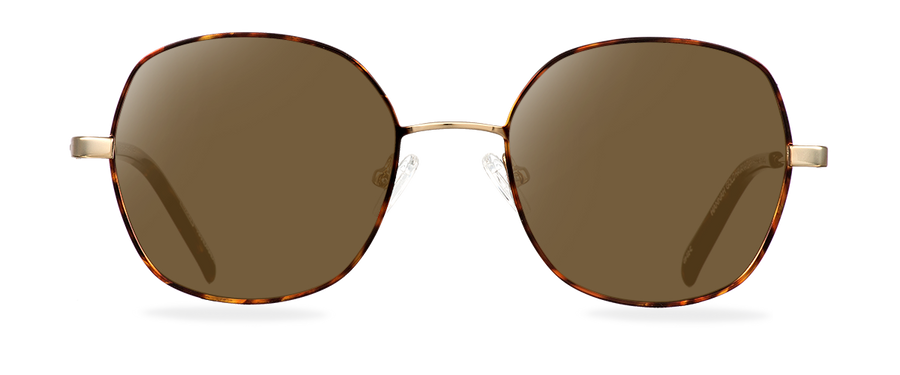 Sluneční brýle Hannah Gold Havana/Dark Havana