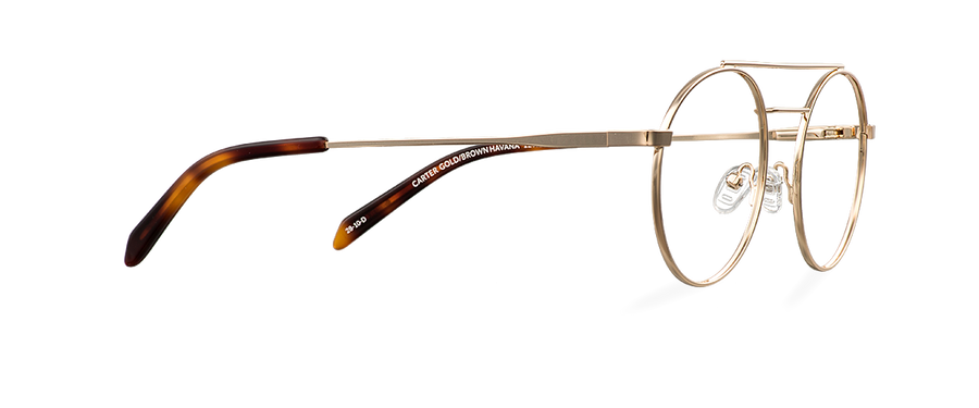 Čiré brýle Carter Gold/Brown Havana