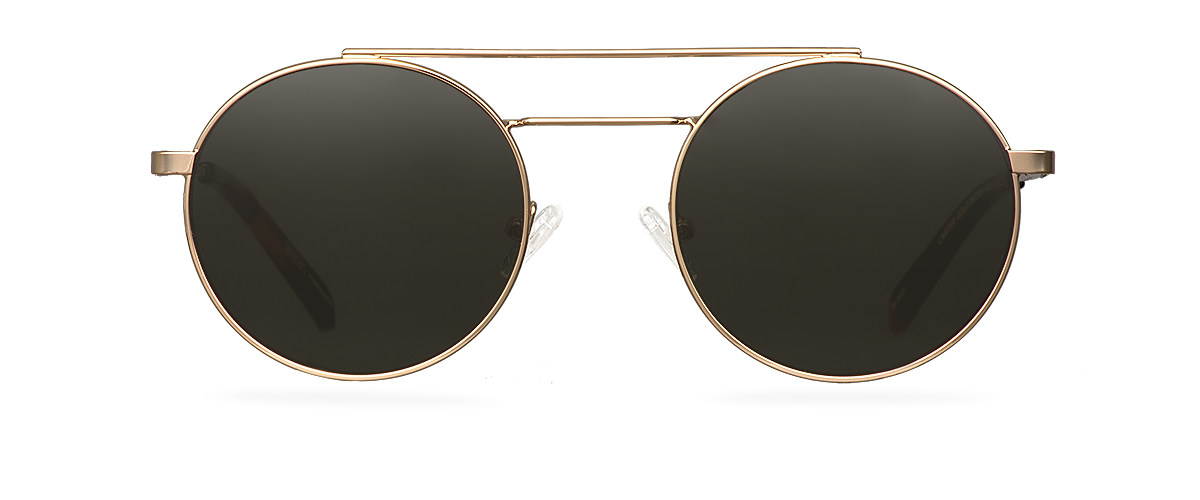 Sluneční brýle Carter Gold/Brown Havana