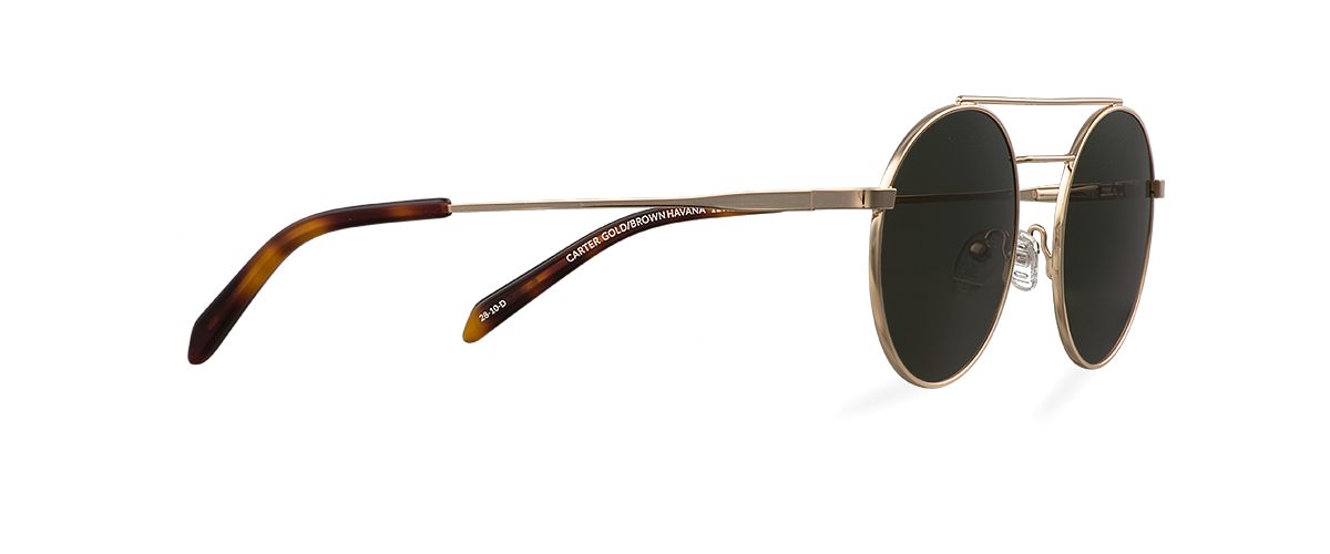 Sluneční brýle Carter Gold/Brown Havana