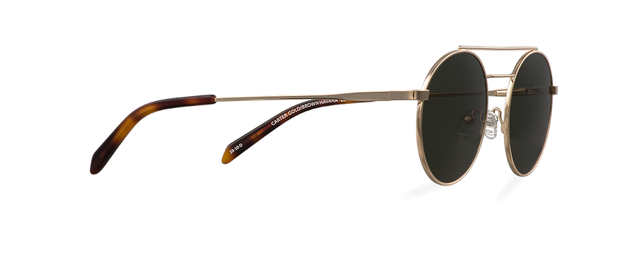 Sluneční brýle Carter Gold/Brown Havana