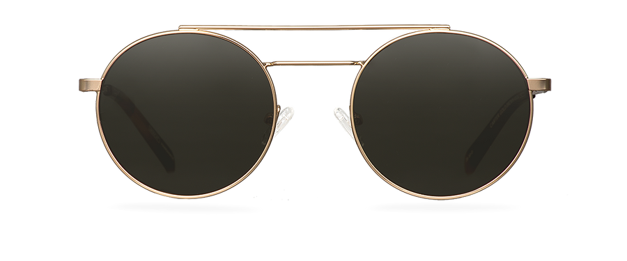 Sluneční brýle Carter Gold/Brown Havana