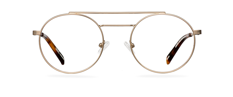 Čiré brýle Carter Gold/Brown Havana