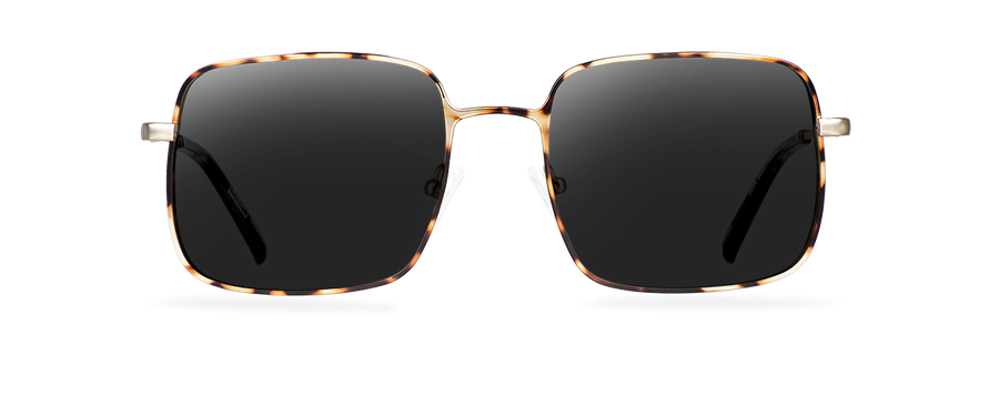 Sluneční brýle Ezra Gold Havana/Dark Havana