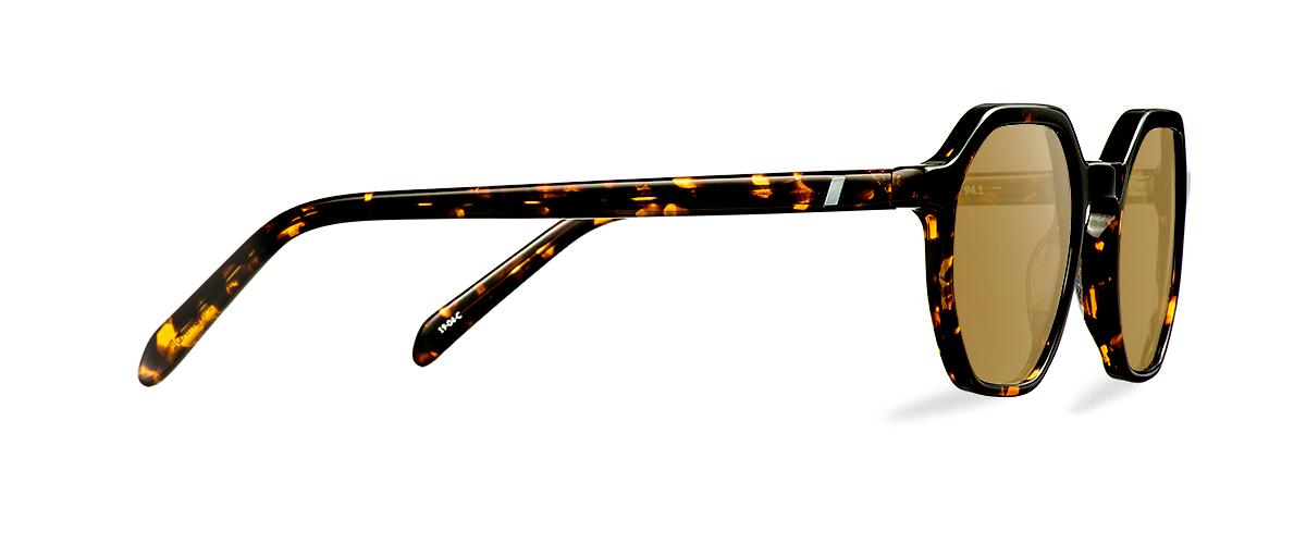 Sluneční brýle Taylor Dark Havana