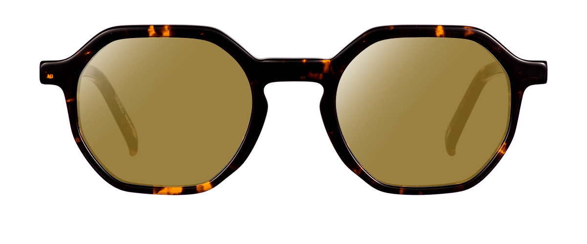 Sluneční brýle Taylor Dark Havana