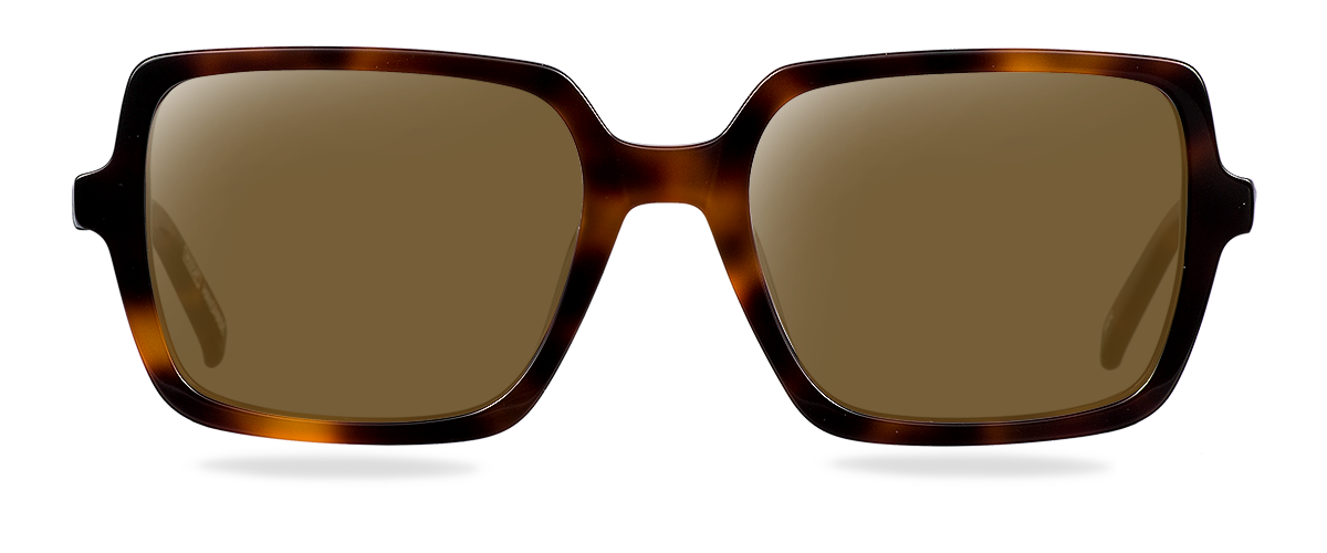 Sluneční brýle Hunter Brown Havana