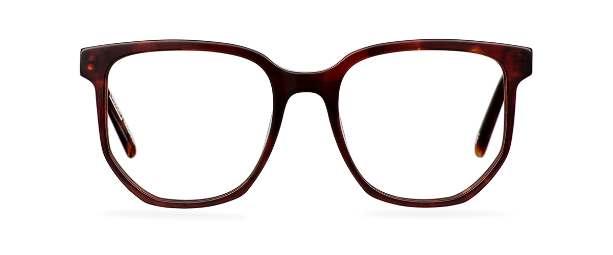 Počítačové brýle Sara Cherry Havana