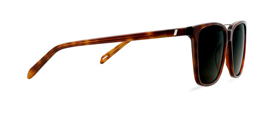 Sluneční brýle Eric Warm Tortoise