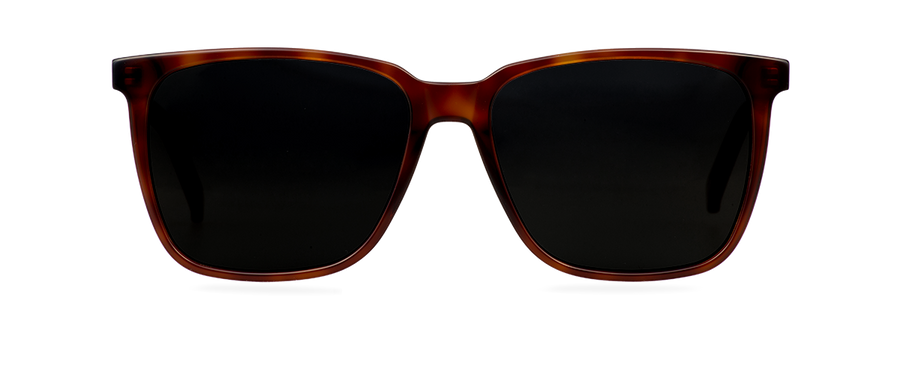 Sluneční brýle Eric Warm Tortoise