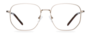 Počítačové brýle Reese Gold/Americano