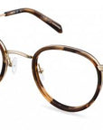 Čiré brýle Sydney Gold/Havana Sun