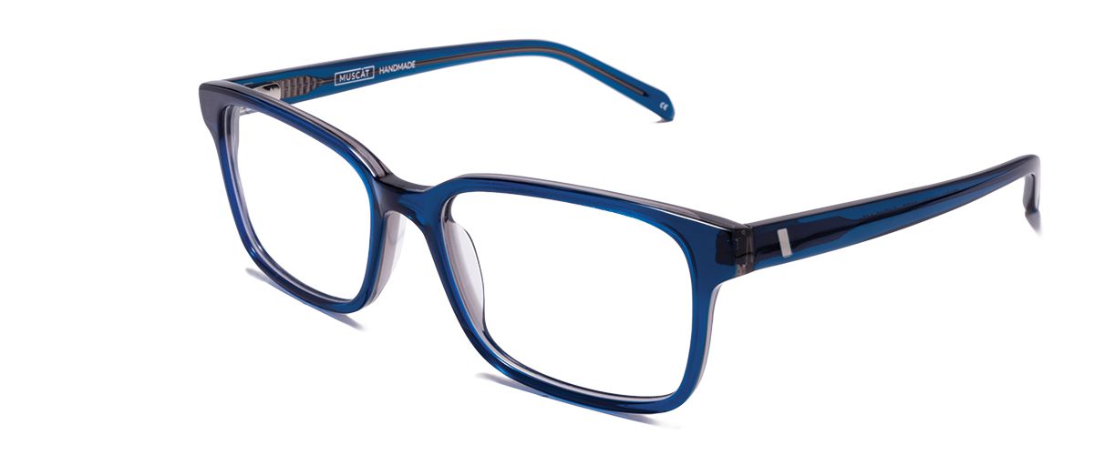 Dioptrické brýle Stark Navy