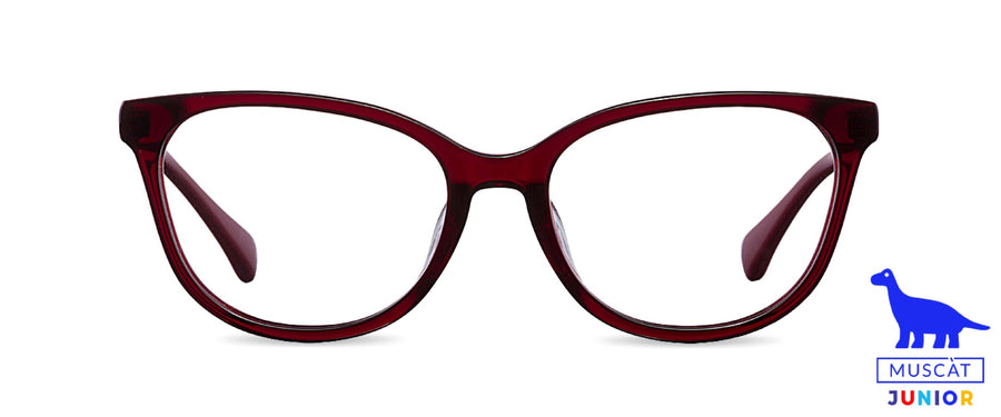 Počítačové brýle Belova Jr. Burgundy