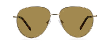 Sluneční brýle Harry Gold/Spiced Havana