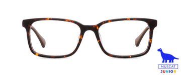 Dioptrické brýle Stark Jr. Dark Havana