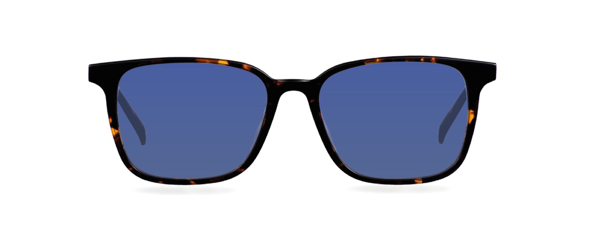 Sluneční brýle Louis Wide Dark Havana