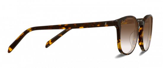 Sluneční brýle Grant Dark Havana