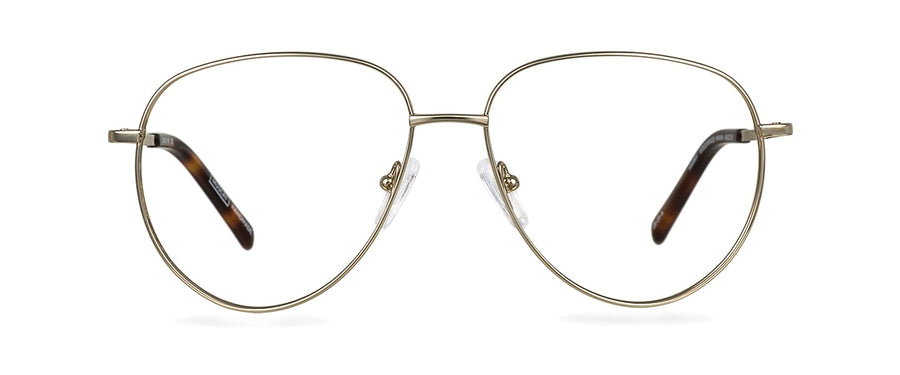 Počítačové brýle Harry Gold/Spiced Havana