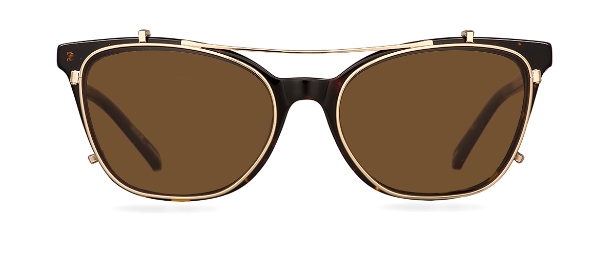 Clipon na brýle Renee Gold/Brown