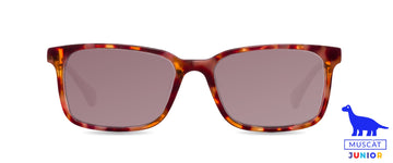Sluneční brýle Stark Jr. Havana Rose