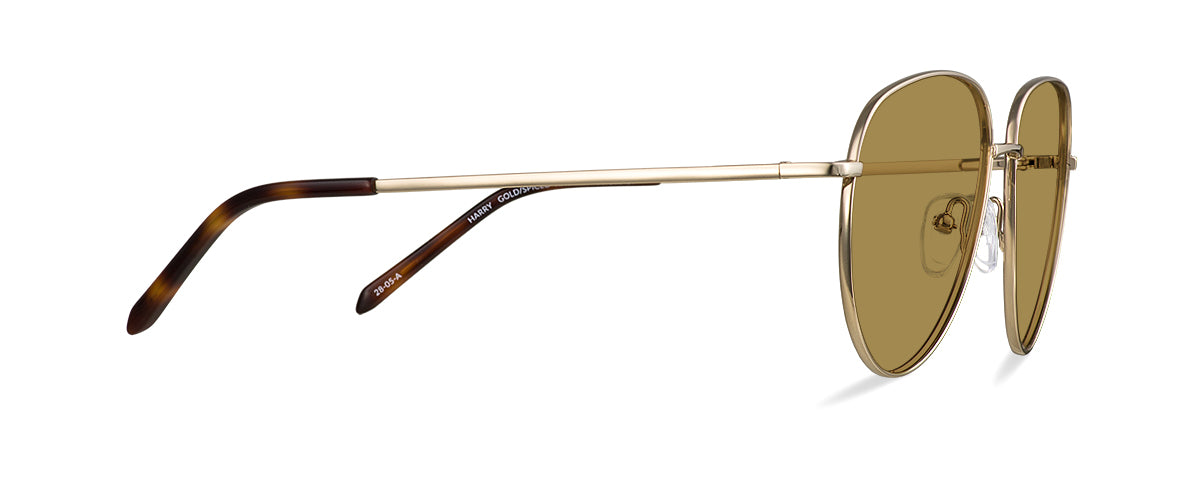 Sluneční brýle Harry Gold/Spiced Havana